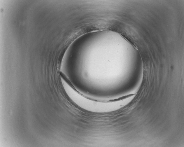 X0000059850237200511111819