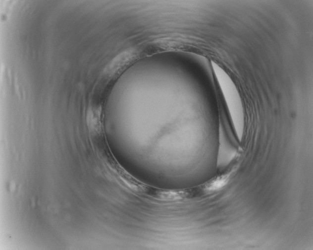 X0000059850239200511111819