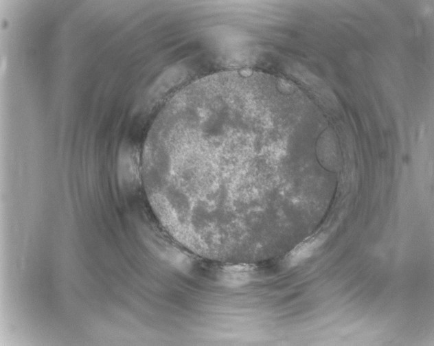 X0000059850240200511111819