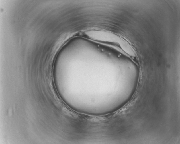 X0000059850241200511111818