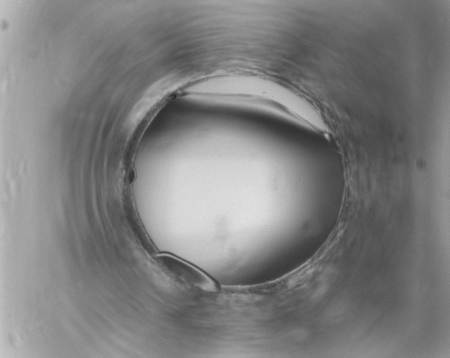 X0000059850242200511111818