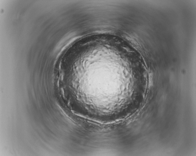 X0000059850243200511111818