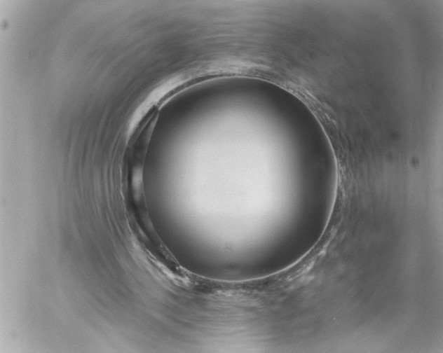 X0000059850244200511111818