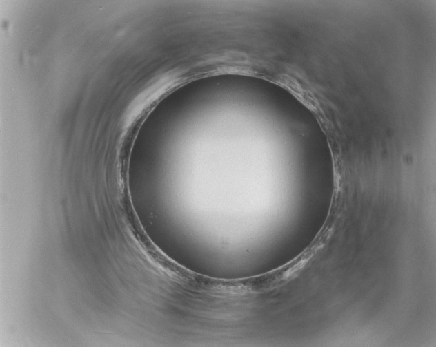 X0000059850245200511111818