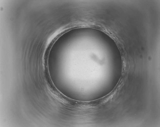 X0000059850246200511111818