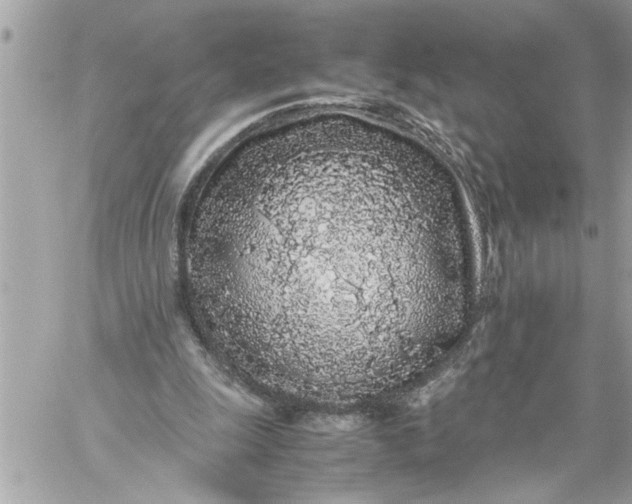 X0000059850247200511111818