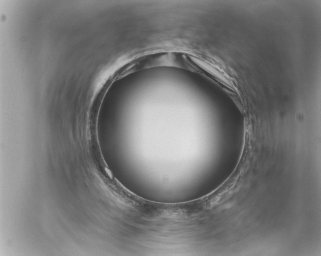 X0000059850248200511111818