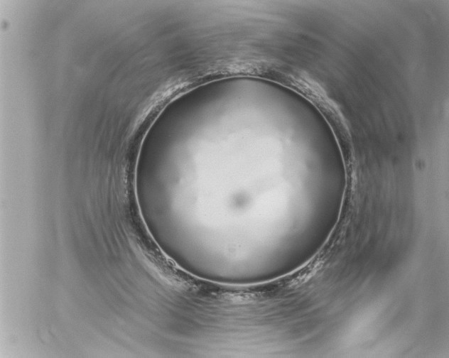 X0000059850250200511111818