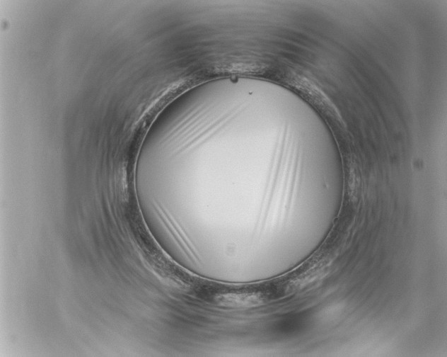 X0000059850251200511111818