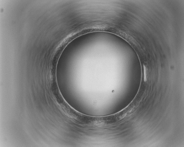 X0000059850252200511111818