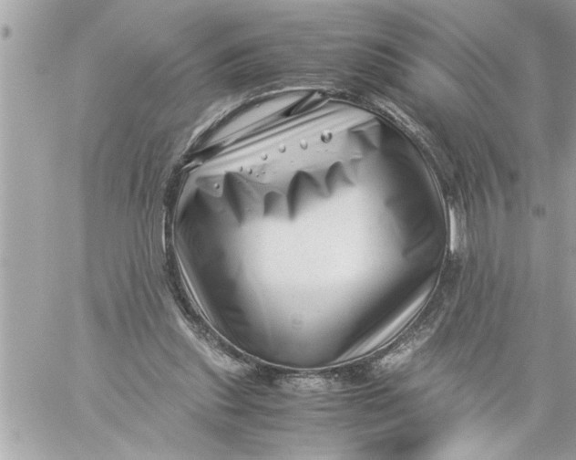 X0000059850253200511111818