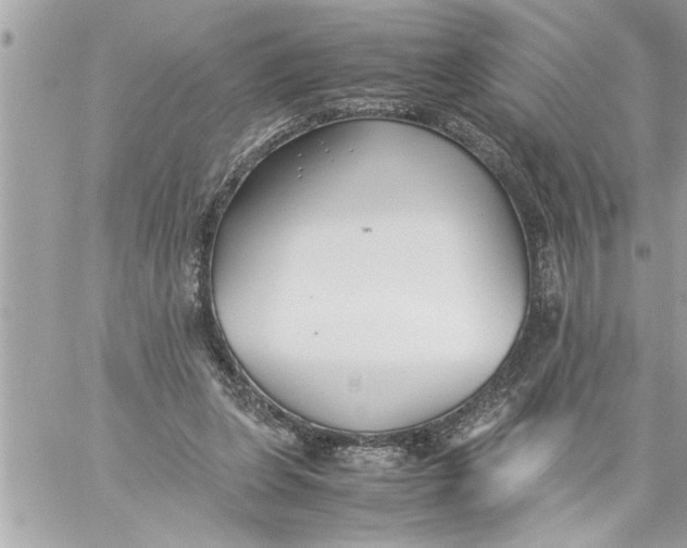 X0000059850255200511111819