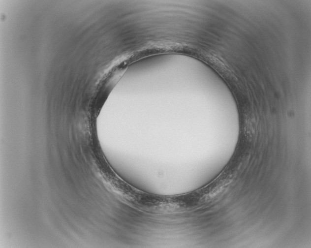 X0000059850256200511111819