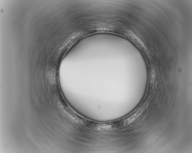 X0000059850257200511111819