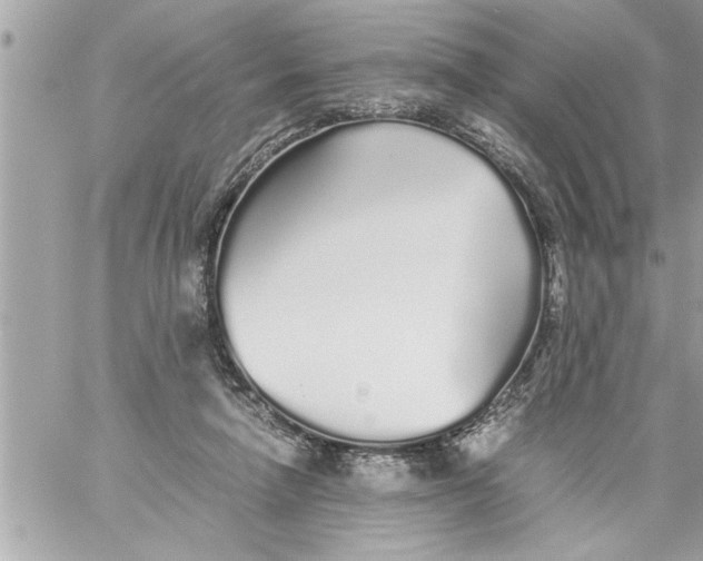 X0000059850258200511111819