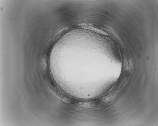 X0000059850259200511111819