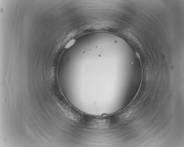 X0000059850260200511111819