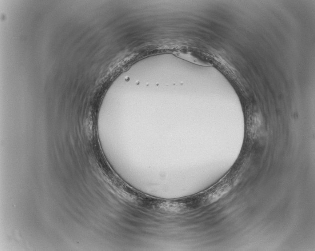 X0000059850261200511111819