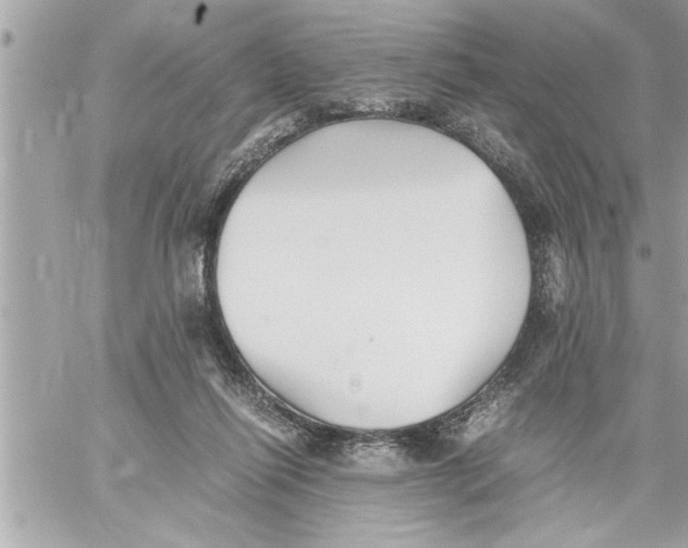 X0000059850262200511111819