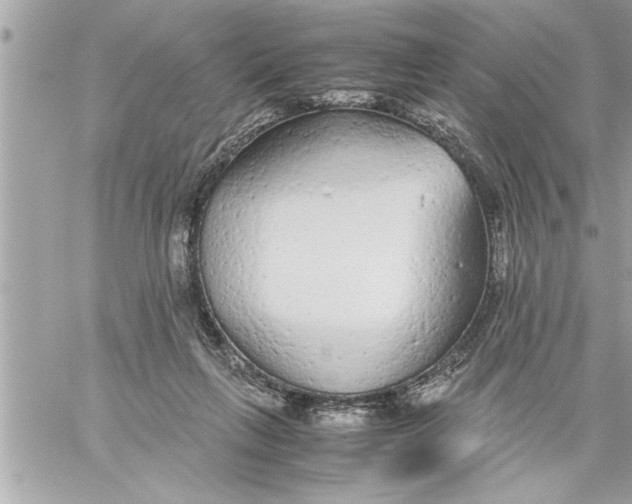 X0000059850263200511111819