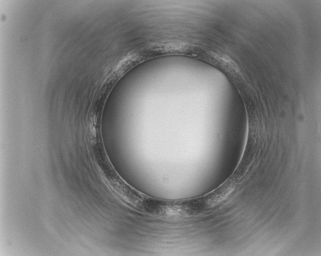 X0000059850264200511111819