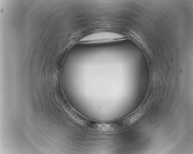 X0000059850265200511111819