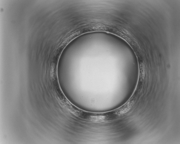 X0000059850266200511111819