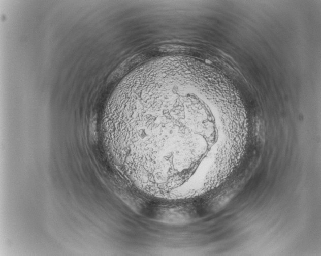 X0000059850267200511111819