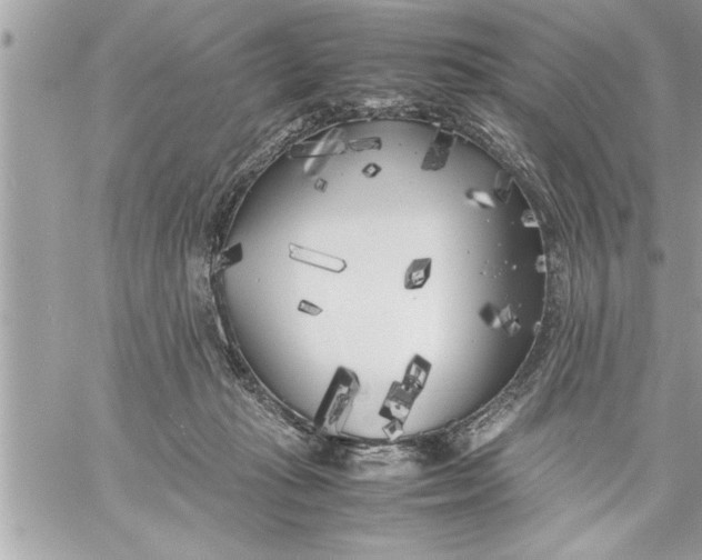 X0000059850269200511111819