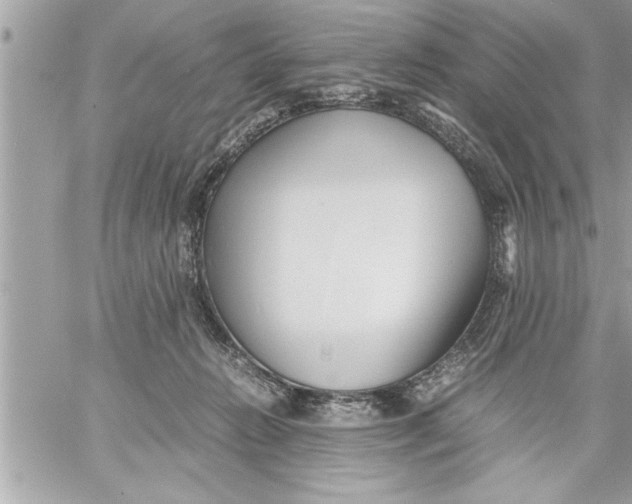 X0000059850270200511111819