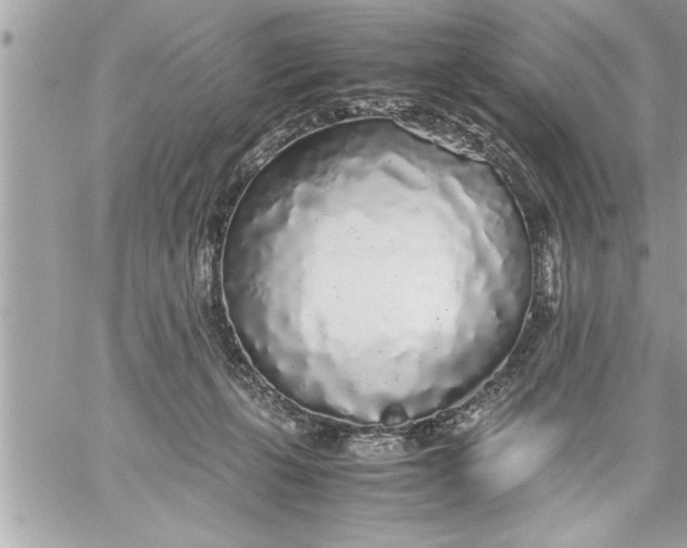 X0000059850271200511111819