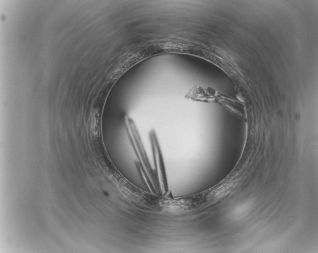 X0000059850273200511111819