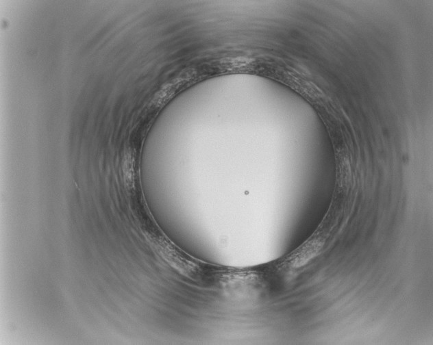 X0000059850274200511111819