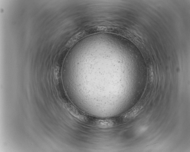 X0000059850275200511111819