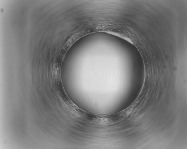 X0000059850276200511111819