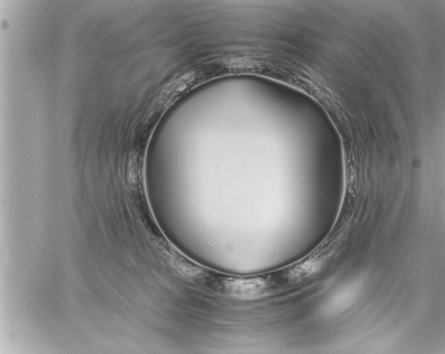 X0000059850277200511111819