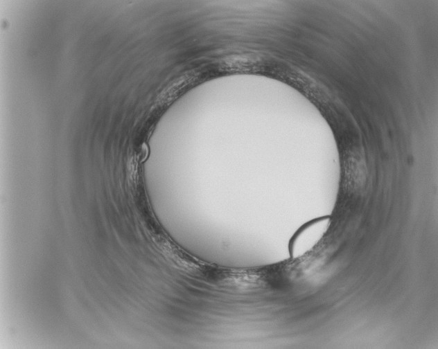 X0000059850278200511111819