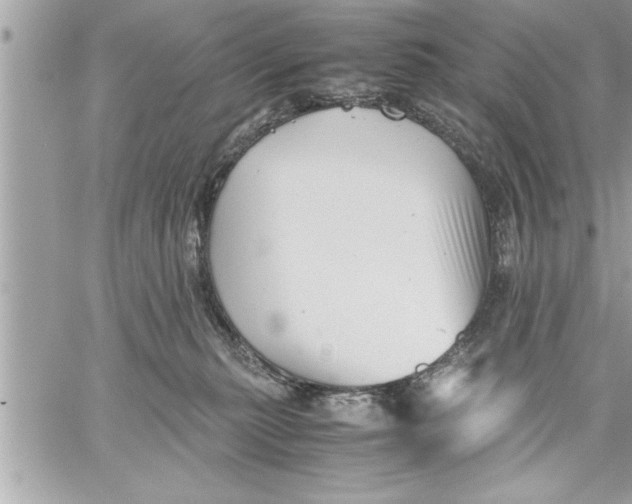 X0000059850279200511111819