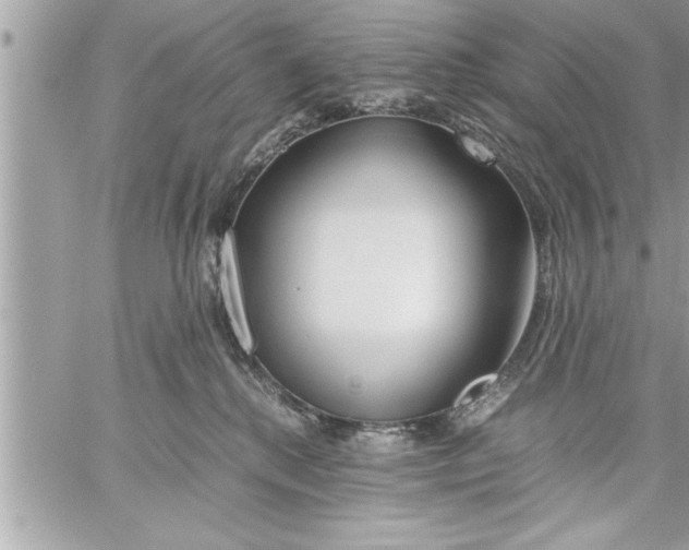 X0000059850280200511111819