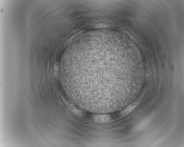 X0000059850281200511111819