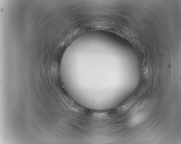 X0000059850283200511111819