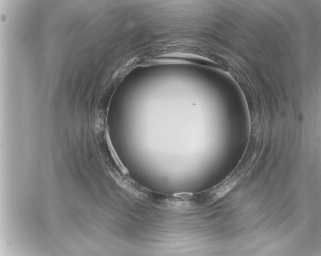 X0000059850284200511111819