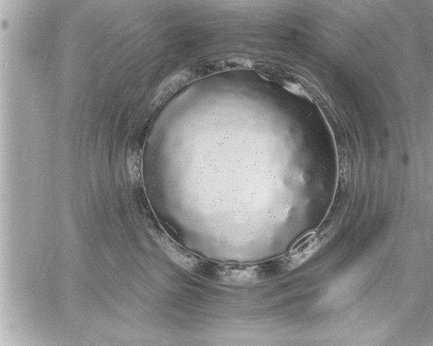 X0000059850285200511111819