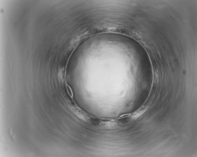 X0000059850286200511111819