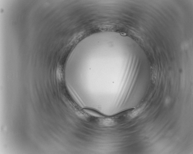 X0000059850287200511111819