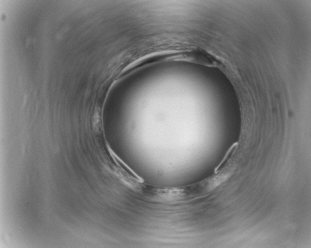 X0000059850288200511111819