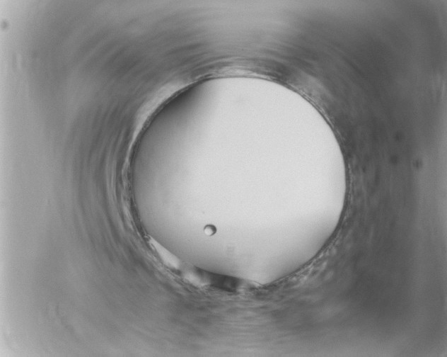 X0000059850289200511111818