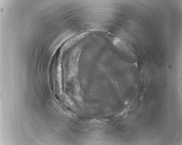 X0000059850290200511111818