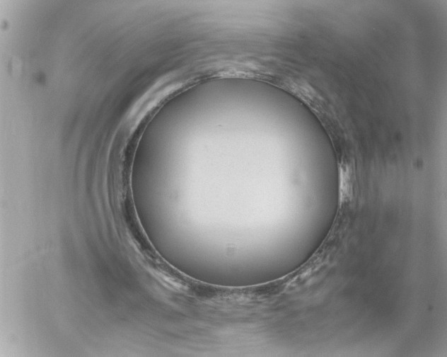 X0000059850291200511111818