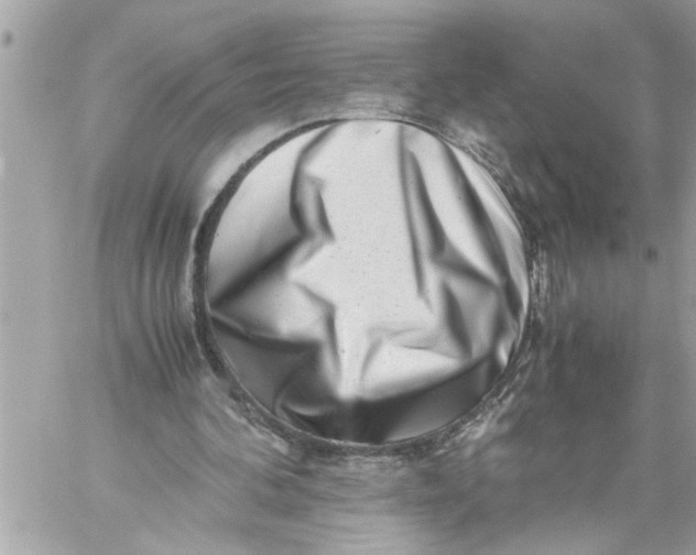 X0000059850292200511111818